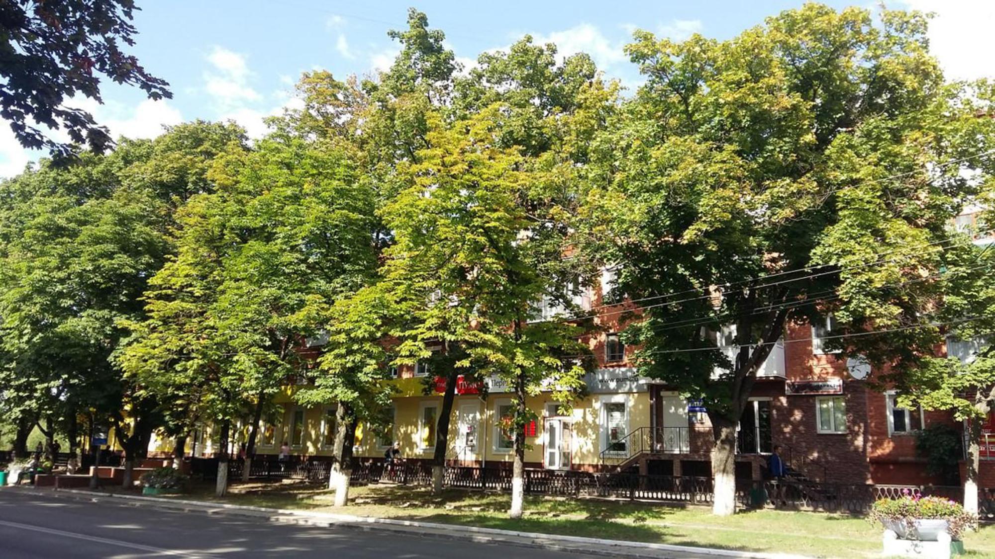 Затишна Квартира На Проспекті Соборний 61 Oleksandriia Esterno foto